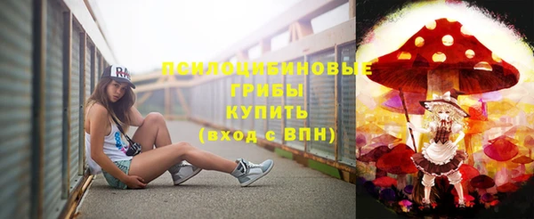 дживик Алексеевка
