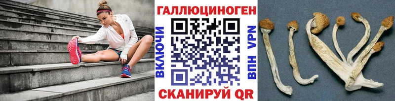 Галлюциногенные грибы Cubensis Калтан